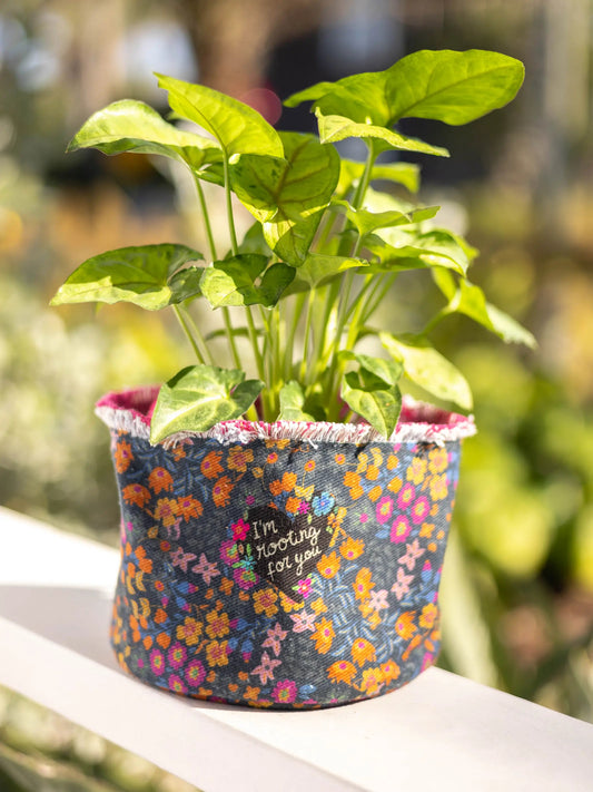 I'm Rooting For You Canvas Planter Cover