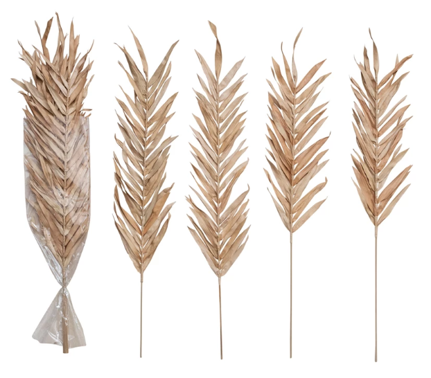 Dried Natural Fountain Palm Bunch