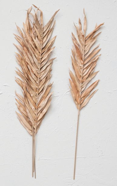 Dried Natural Fountain Palm Bunch
