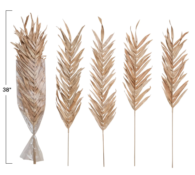 Dried Natural Fountain Palm Bunch