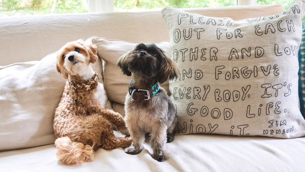 Jim Henson Embroidery Pillow