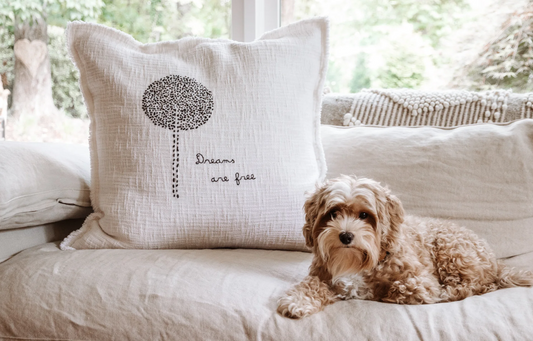 Dreams Are Free Pillow