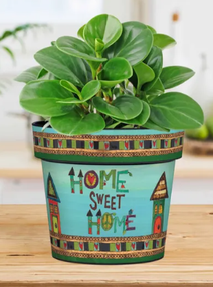 Home Sweet Home 6" Art Pot