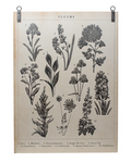 Garden Studies Wall Decor