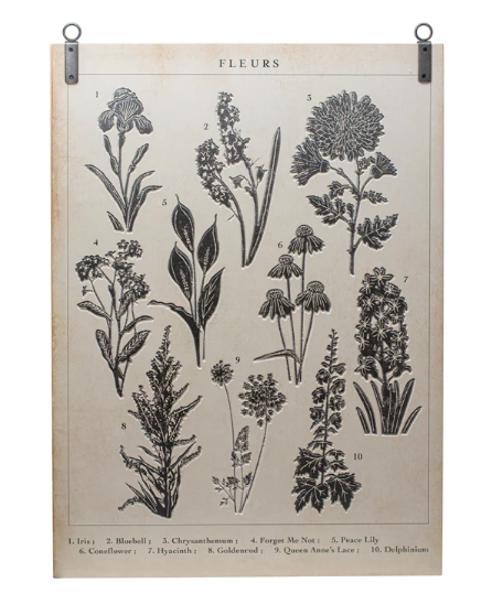 Garden Studies Wall Decor