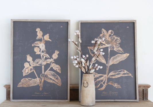 Charcoal Botanical Prints