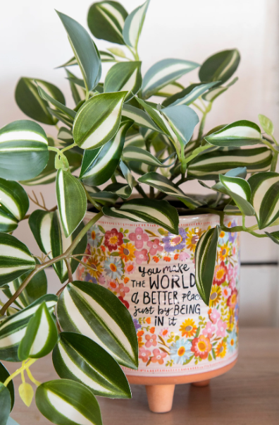 Artisan Terracotta Indoor Planter, Medium - World Better