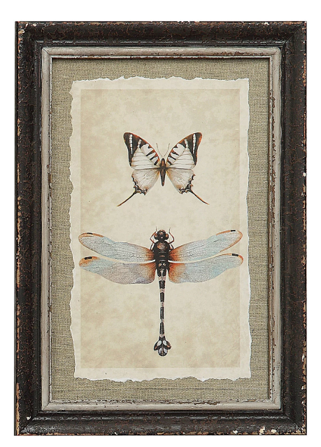 Insect Print Wall Decor