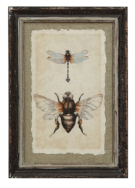 Insect Print Wall Decor