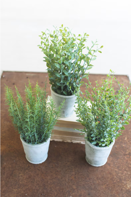 Artificial Herbs in Cement Pots