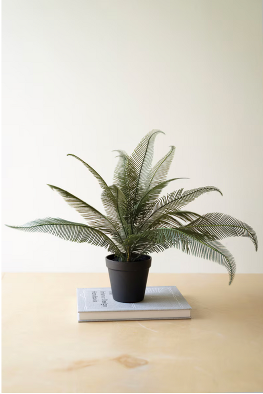 Faux Phoenix Plant in Black Plastic Pot