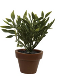 Faux Plant in Plastic Pot