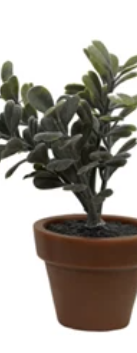 Faux Plant in Plastic Pot