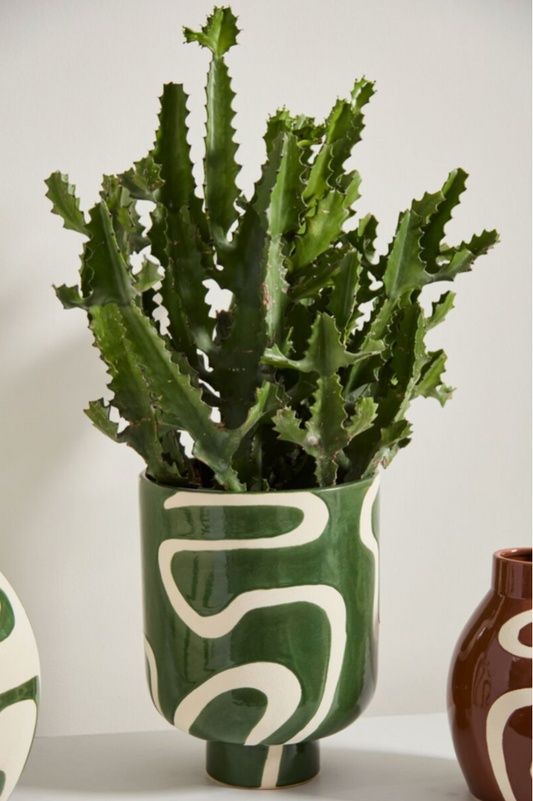 Curvature Pot