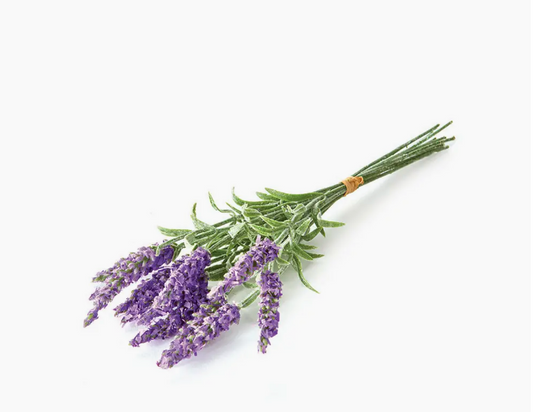 French Lavender Bundle