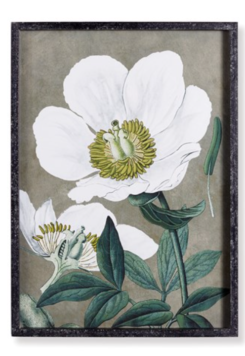 Poppy Prints Wall Decor