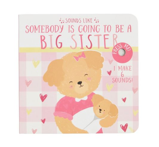 Sounds Like Big Sister Book