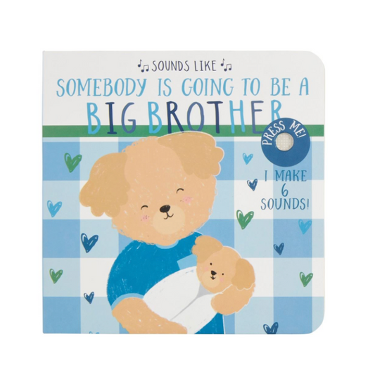 Sounds Like Big Brother Book