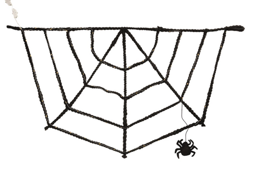 Light-Up Spider Web