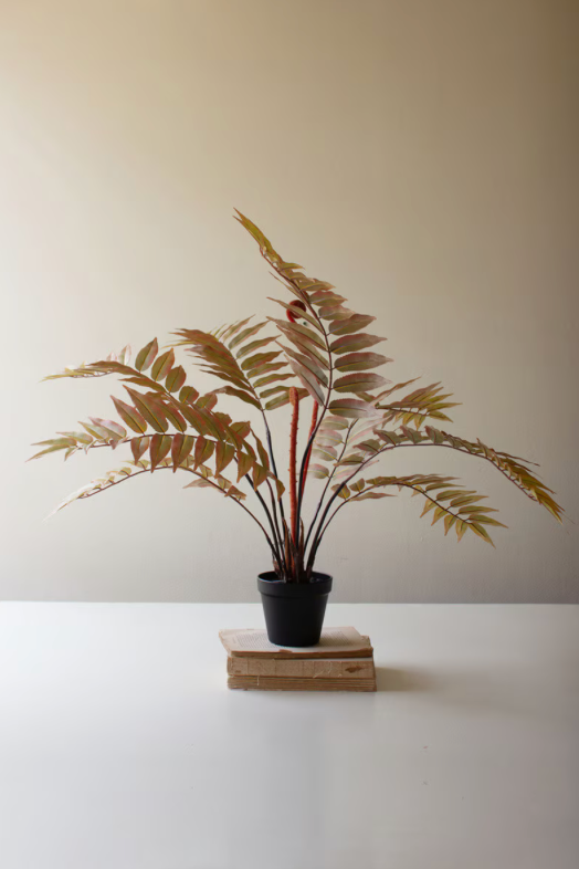 Artificial Yellow Fern in Black Plastic Pot