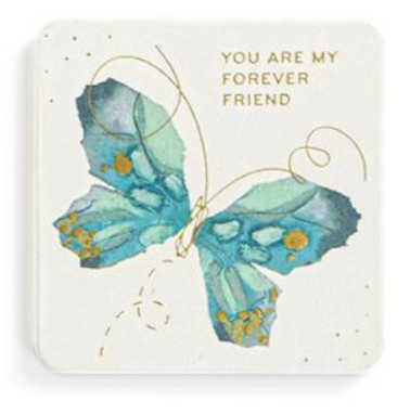 Butterfly Magnets