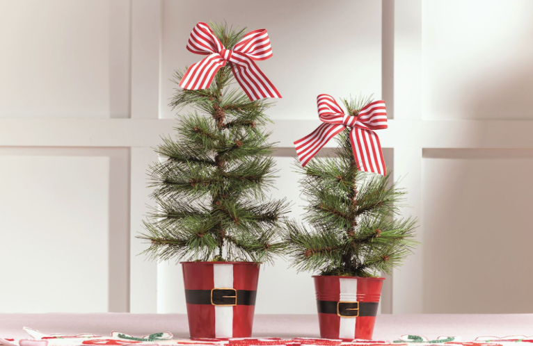 Santa Pot Frasier Fur Trees