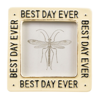 Artisan Embossed Stoneware Photo Frame