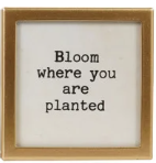 Gold Metal & Glass Framed Magnet with Saying