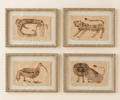 Framed Animal Prints Under Glass