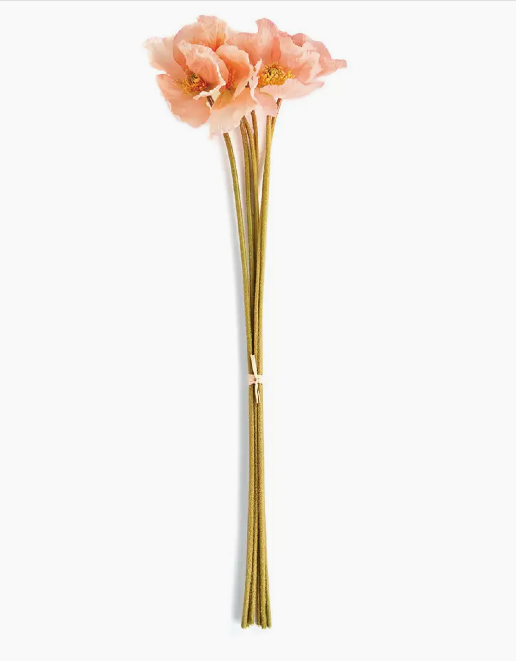 Pink Poppy Bundle