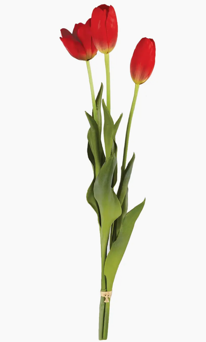 Red French Tulip Bundle