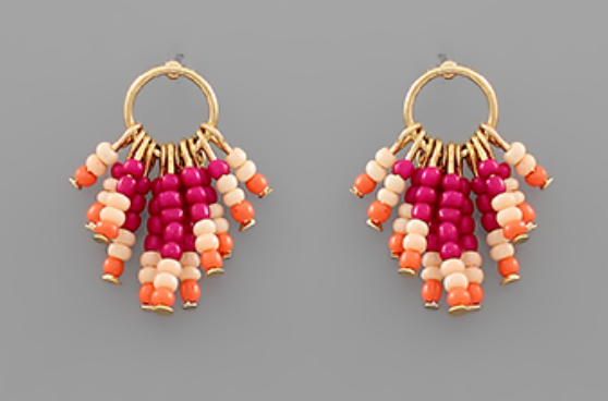 Bead Fringe Circle Earrings