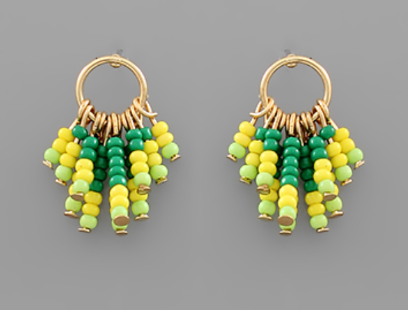 Bead Fringe Circle Earrings