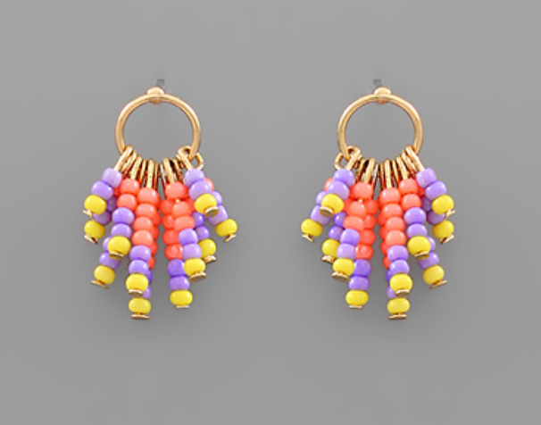 Bead Fringe Circle Earrings