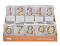 Birthday Number Candles