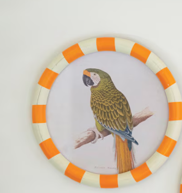 Round Framed Parrot Wall Prints