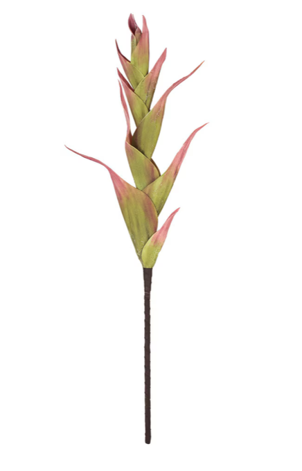 Pink & Green Botanical