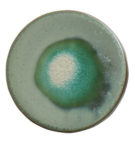 Stoneware Trivet with Glaze