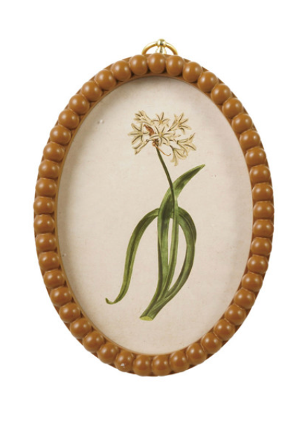Framed Glass Wall Decor with Gold Ring Hanger
