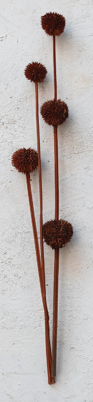 Dried Natural Thistle Bunch