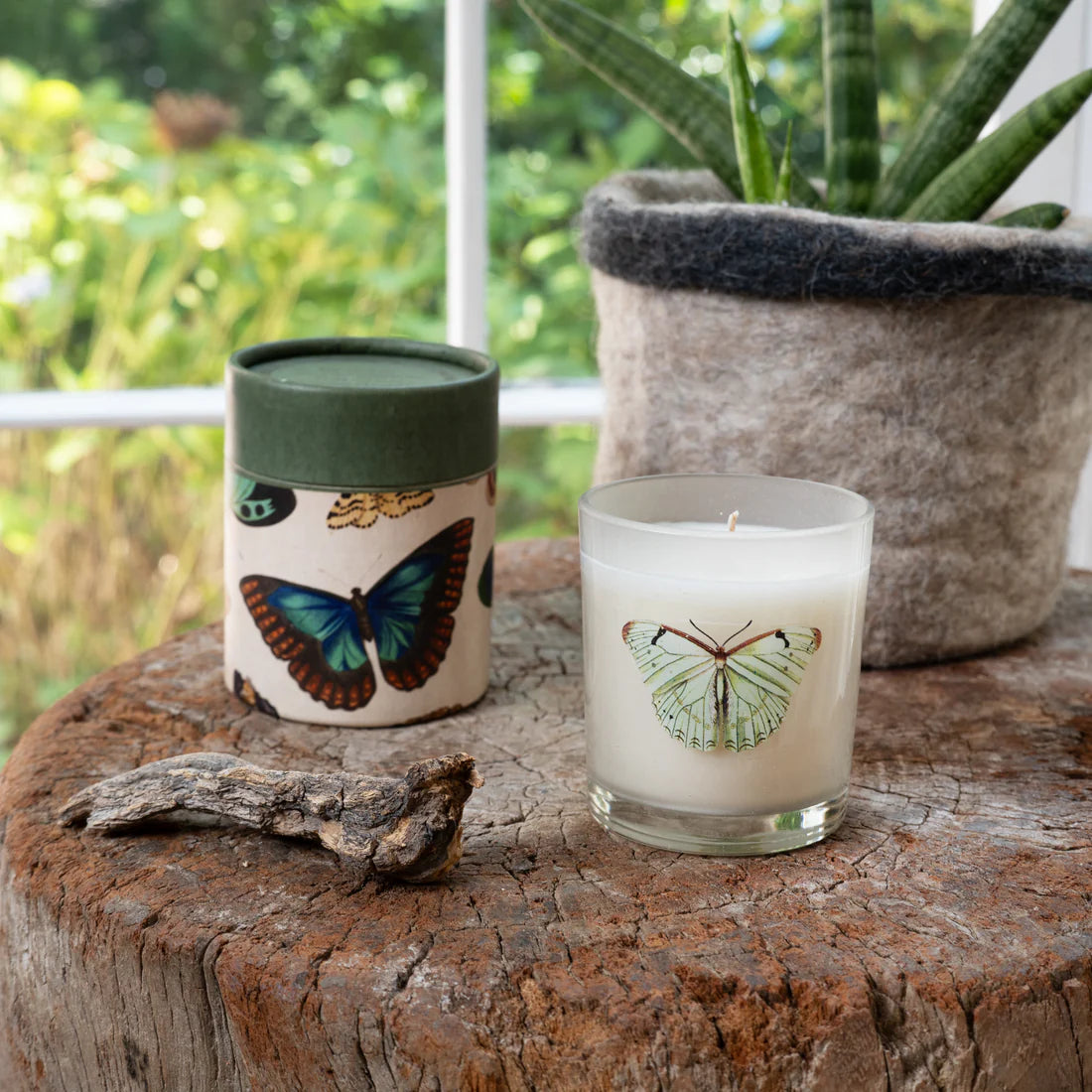 Flora & Fauna Candle Collection