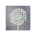 Dandelion Art Tile Collection