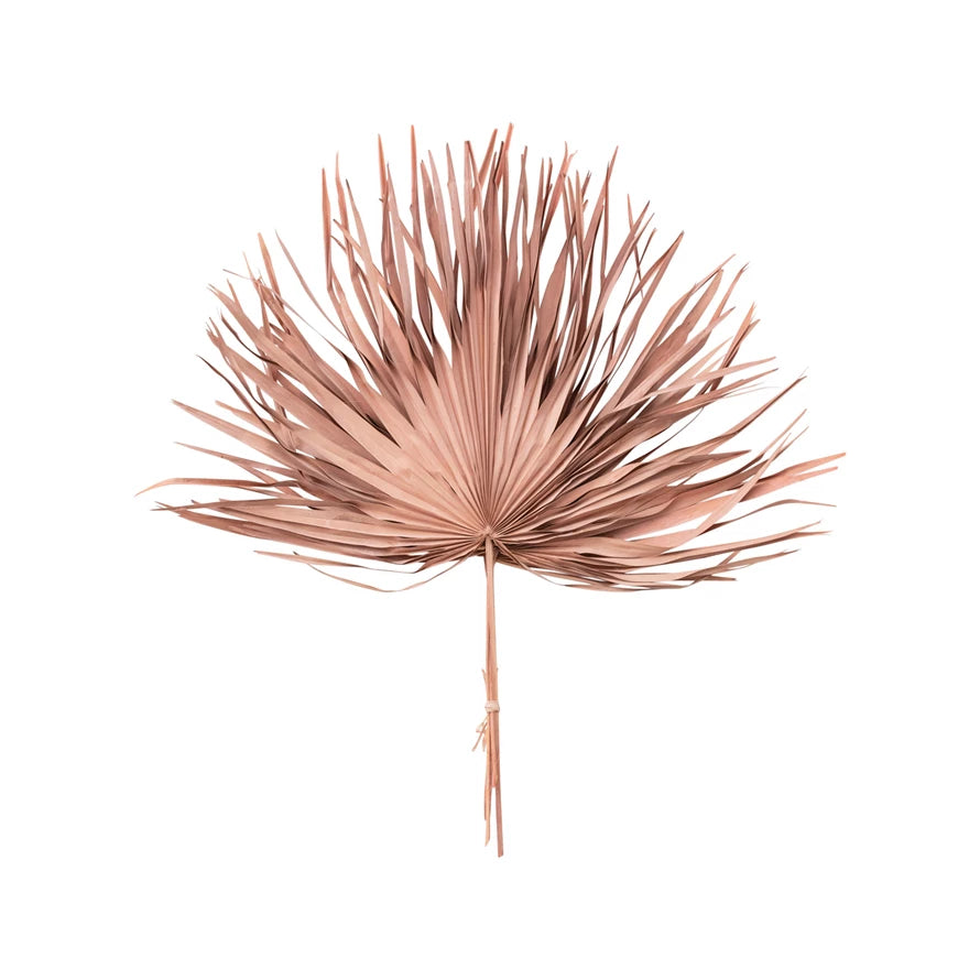 Dried Palm Leaf Bunch