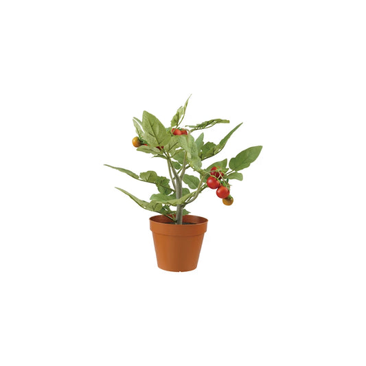 Faux Tomato Plant in Plastic Pot