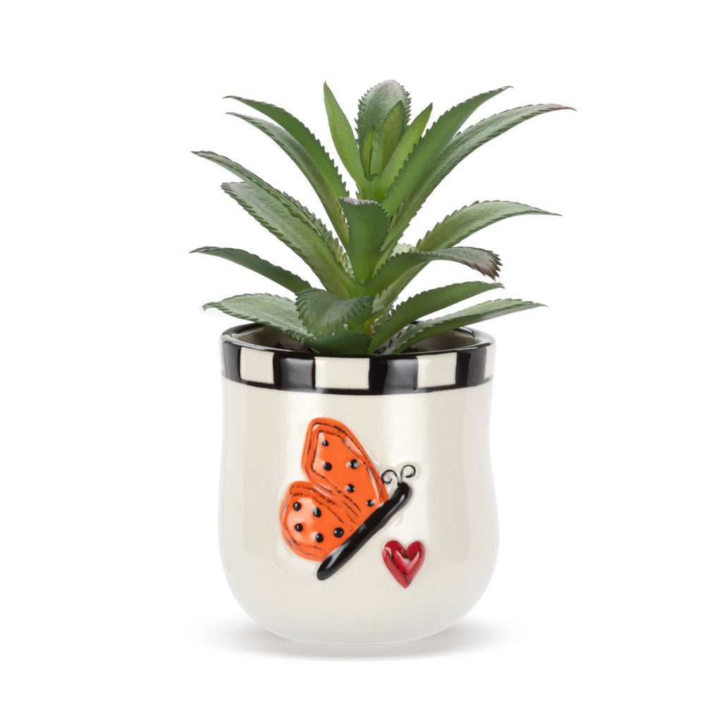 Mini Succulent - Butterfly