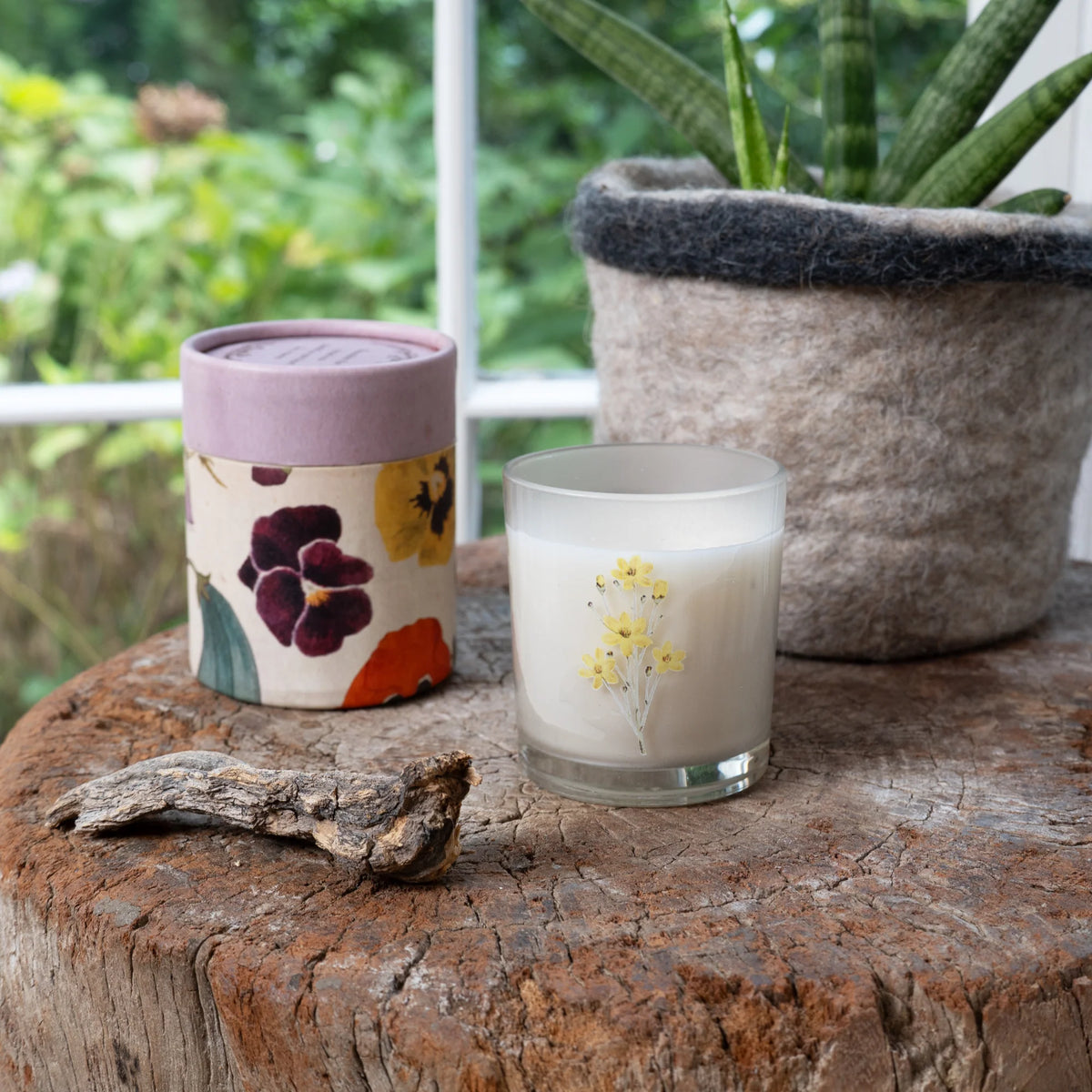 Flora & Fauna Candle Collection