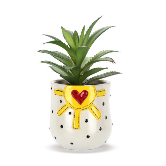 Mini Succulent - Sun & Dots