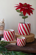 Set of 3 Concrete Candy Cane Planters — image 1