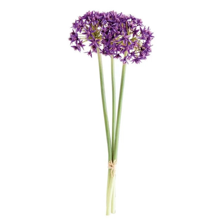 Allium Stems