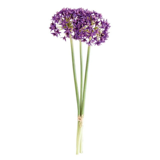 Allium Stems